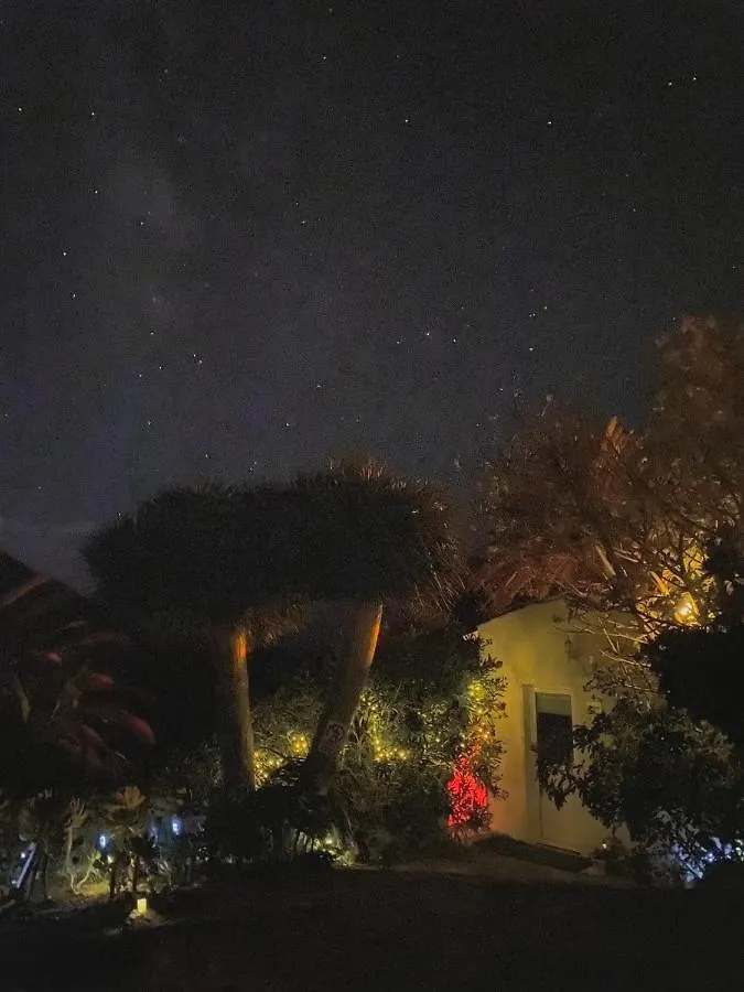 Sweet Home Masca