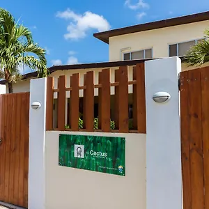 little-cactus-apartments-aruba.comcaribbean.com/
